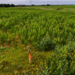 Property photo for land for sale in Hardeman County Texas