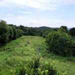 Property photo for land for sale in Casey County Kentucky