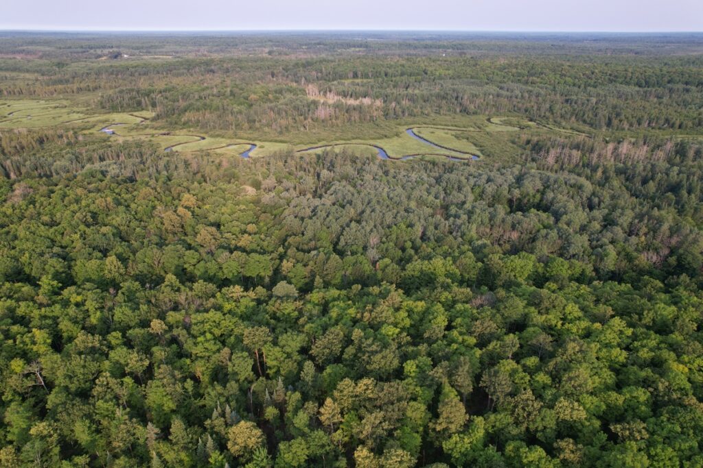 Property photo for land for sale in Ashland County Wisconsin