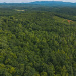 Property photo for land for sale in Patrick County Virginia