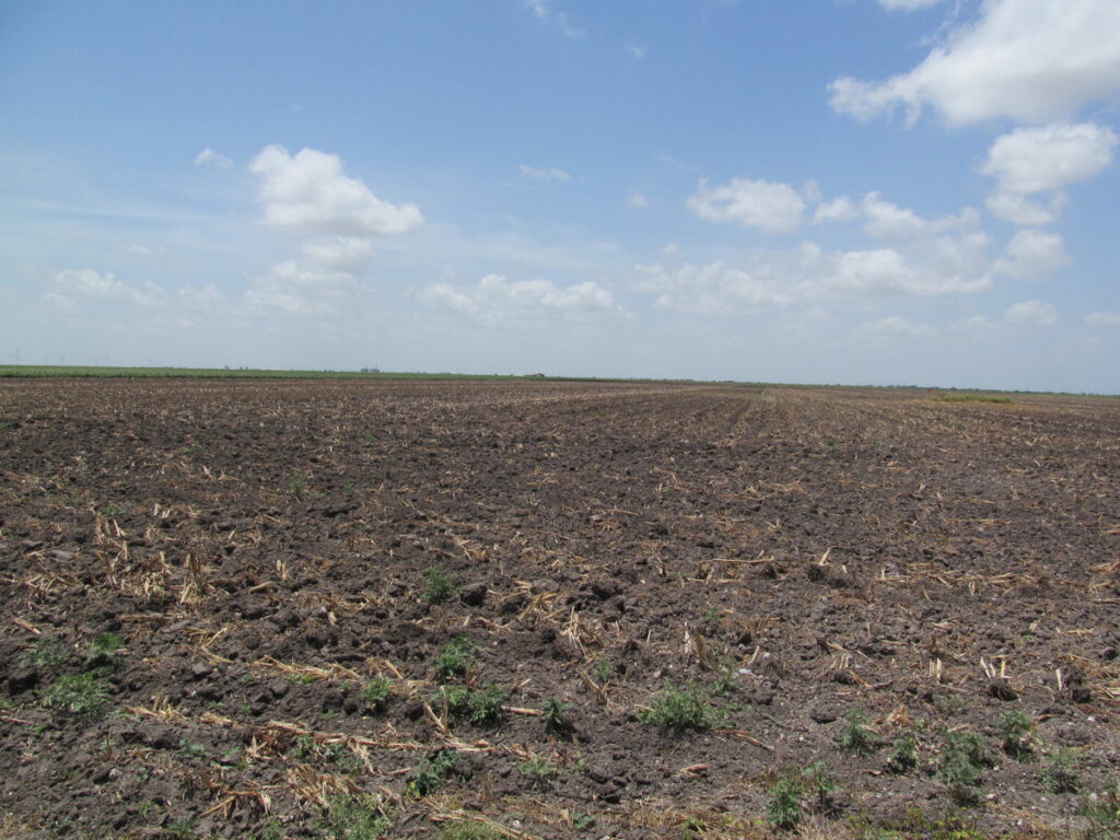 Property photo for land for sale in Nueces County Texas