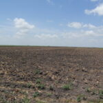 Property photo for land for sale in Nueces County Texas