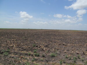 Property photo for land for sale in Nueces County Texas