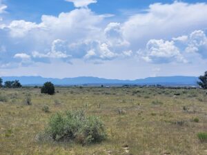 Property photo for land for sale in Torrance County New Mexico