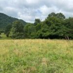 Property photo for land for sale in Hancock County Tennessee