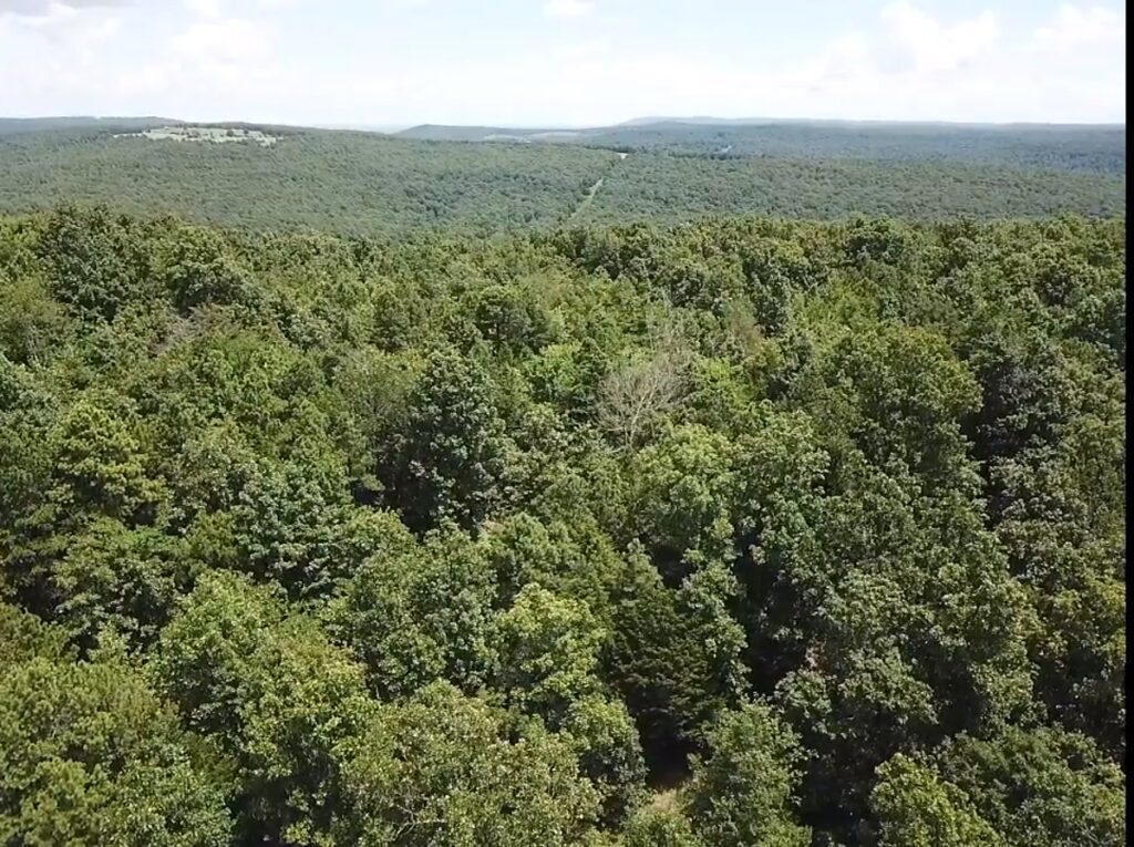 Property photo for land for sale in Stone County Arkansas