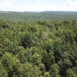 Property photo for land for sale in Stone County Arkansas