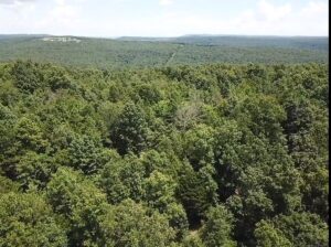 Property photo for land for sale in Stone County Arkansas