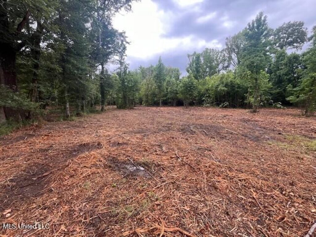Property photo for land for sale in Hinds County Mississippi