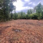 Property photo for land for sale in Hinds County Mississippi
