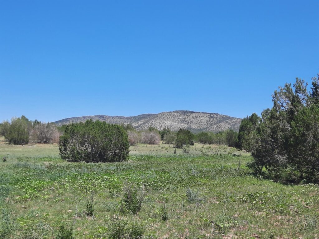Property photo for land for sale in Yavapai County Arizona