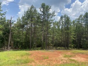Property photo for land for sale in Hardin County Tennessee