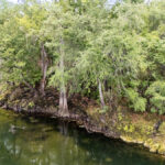 Property photo for land for sale in Alachua County Florida