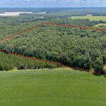 Property photo for land for sale in Dixie County Florida