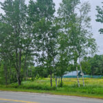 Property photo for land for sale in Penobscot County Maine