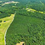 Property photo for land for sale in Halifax County Virginia
