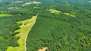 Property photo for land for sale in Halifax County Virginia