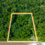 Property photo for land for sale in Suwannee County Florida