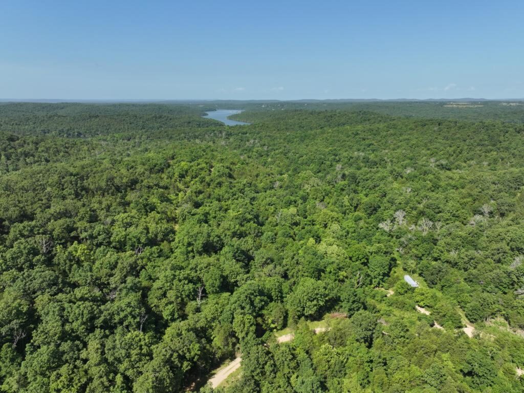 Property photo for land for sale in Ozark County Missouri