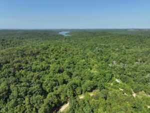 Property photo for land for sale in Ozark County Missouri