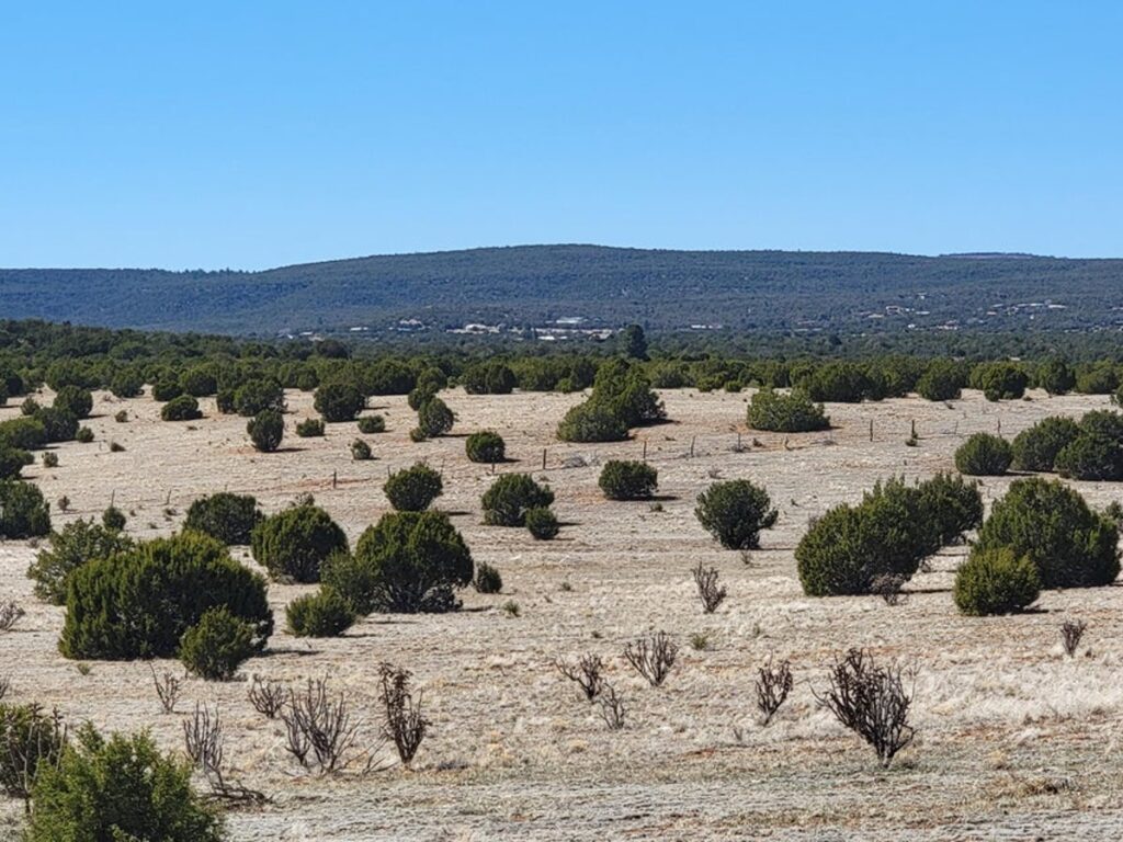 Property photo for land for sale in Torrance County New Mexico