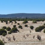 Property photo for land for sale in Torrance County New Mexico