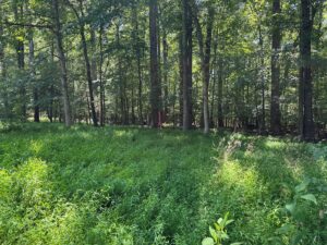 Property photo for land for sale in Mecklenburg County Virginia