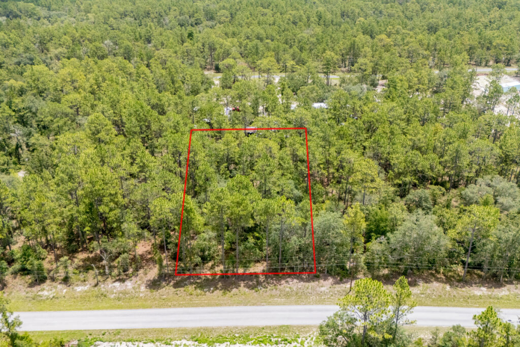 Property photo for land for sale in Levy County Florida