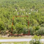 Property photo for land for sale in Levy County Florida