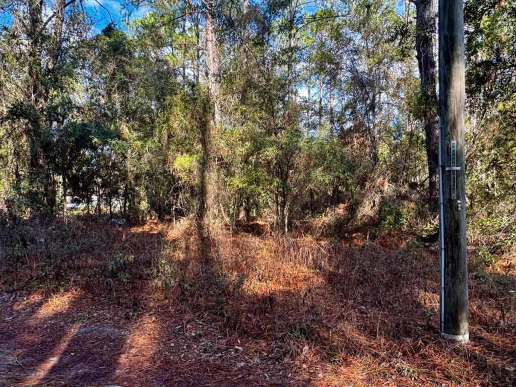 Property photo for land for sale in Dixie County Florida