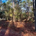 Property photo for land for sale in Dixie County Florida