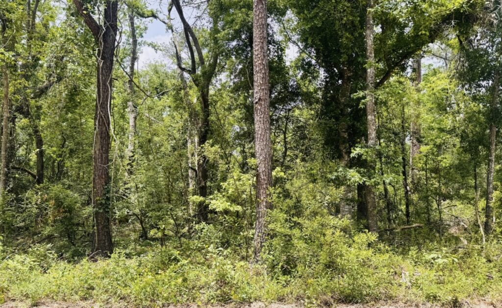 Property photo for land for sale in Hamilton County Florida