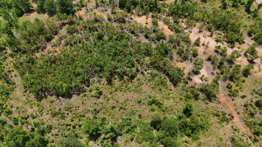 Property photo for land for sale in Lincoln County Louisiana