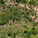 Property photo for land for sale in Lincoln County Louisiana