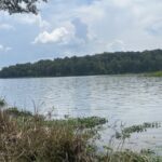 Property photo for land for sale in Wilcox County Alabama