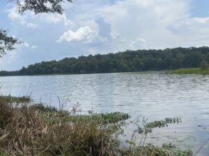 Property photo for land for sale in Wilcox County Alabama