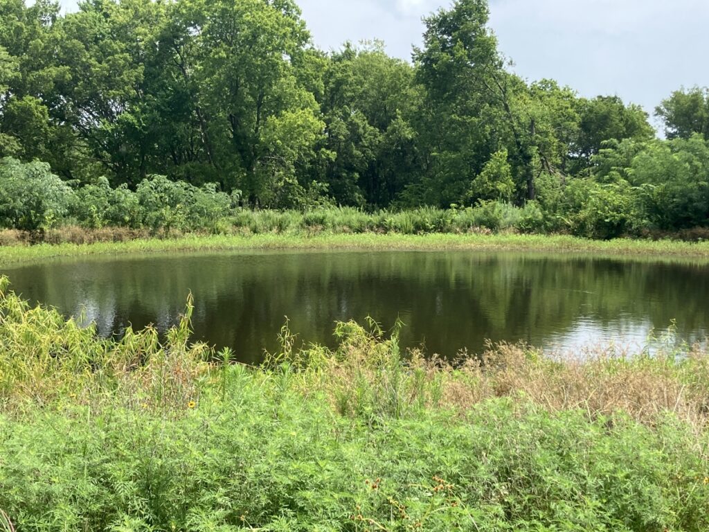 Property photo for land for sale in McIntosh County Oklahoma