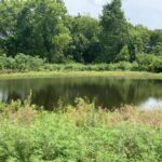 Property photo for land for sale in McIntosh County Oklahoma