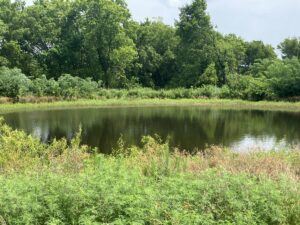 Property photo for land for sale in McIntosh County Oklahoma