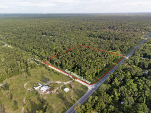 Property photo for land for sale in Dixie County Florida