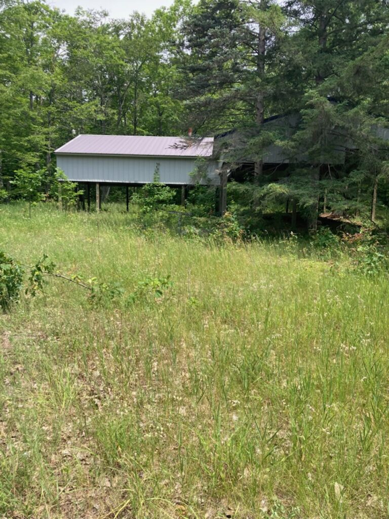 Property photo for land for sale in Emmet County Michigan