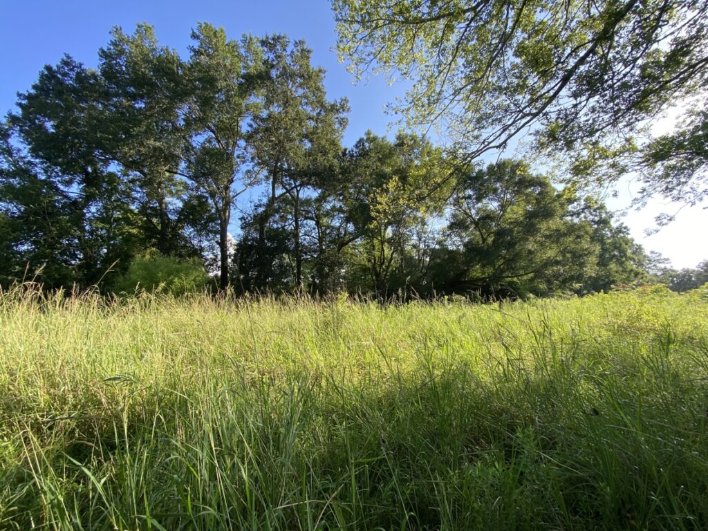 Property photo for land for sale in Vermilion County Louisiana