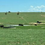 Property photo for land for sale in Torrance County New Mexico