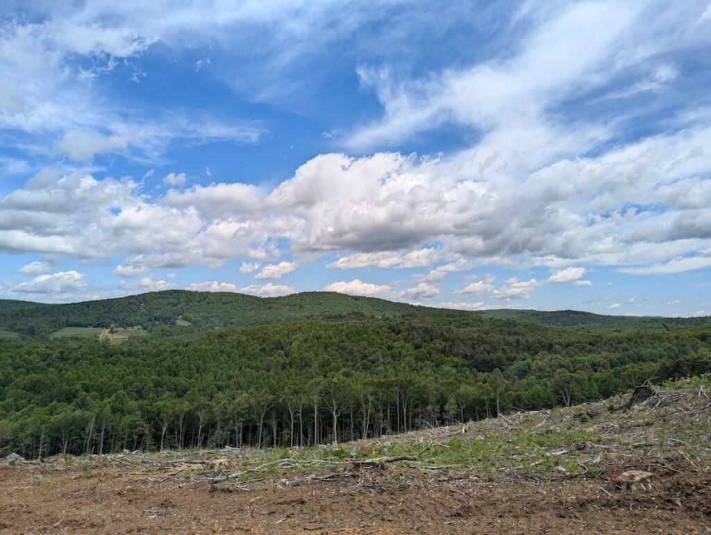 Property photo for land for sale in Floyd County Virginia