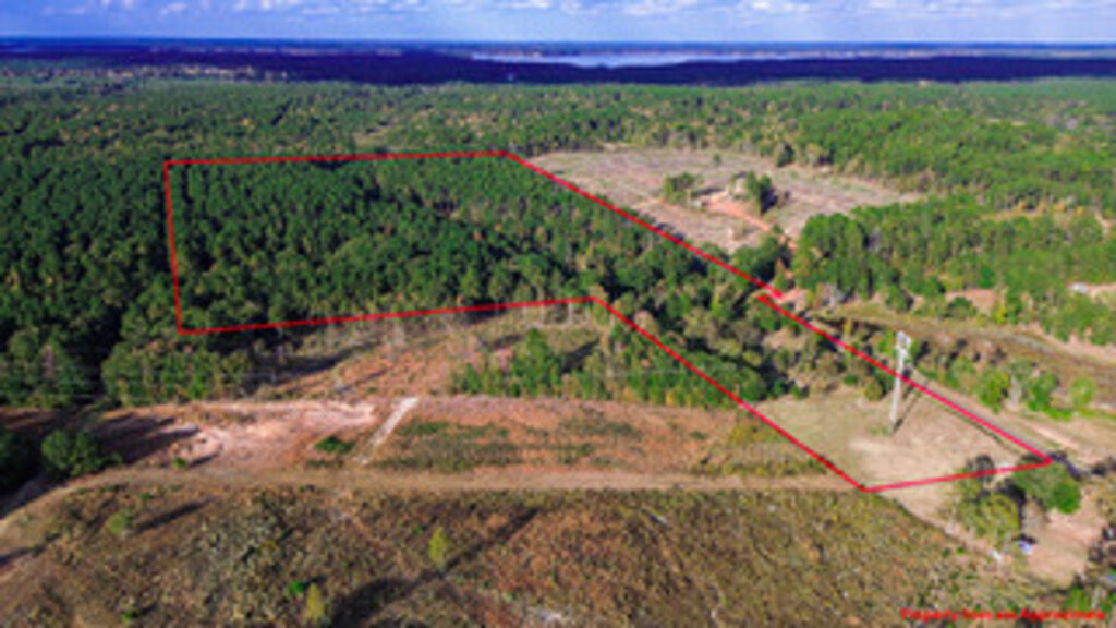 Property photo for land for sale in Harrison County Texas