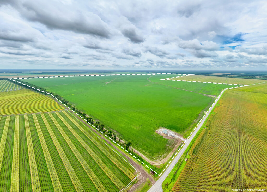 Property photo for land for sale in Madison County Louisiana