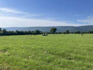 Property photo for land for sale in Pushmataha County Oklahoma