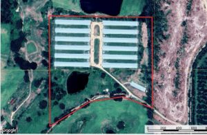 Property photo for land for sale in Smith County Mississippi