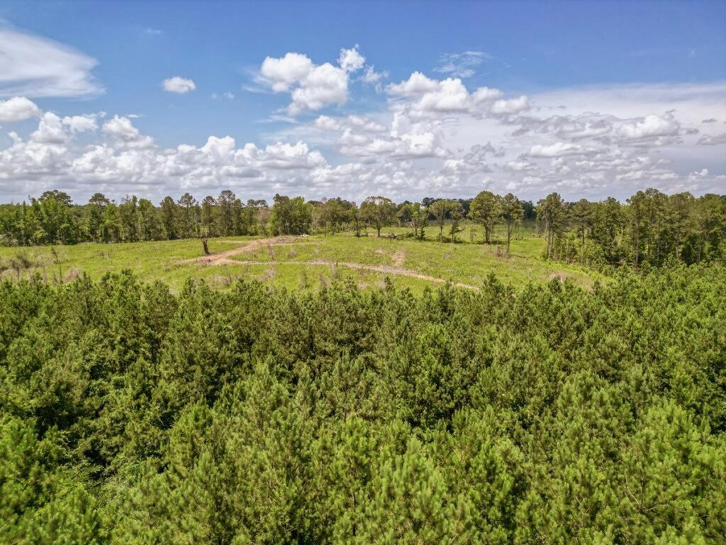 Property photo for land for sale in Amite County Mississippi