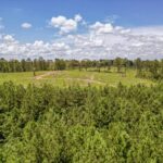 Property photo for land for sale in Amite County Mississippi